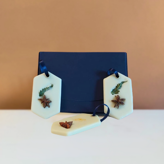 Coffret parfums solides - zeste d'agrumes